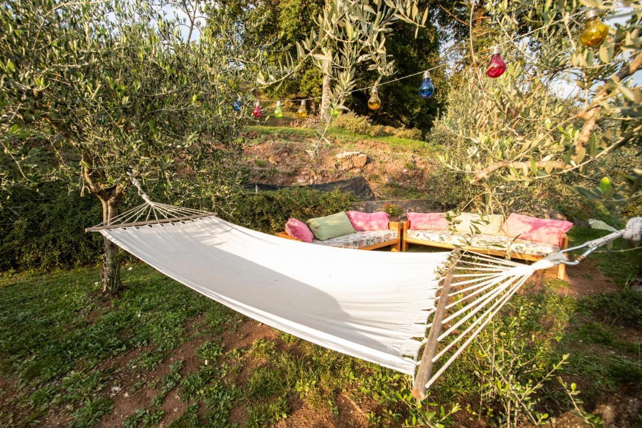 Casetta Di Butia, Ginestra Apartment With Swimming Pool บอร์โก อา มอสซาโน ภายนอก รูปภาพ