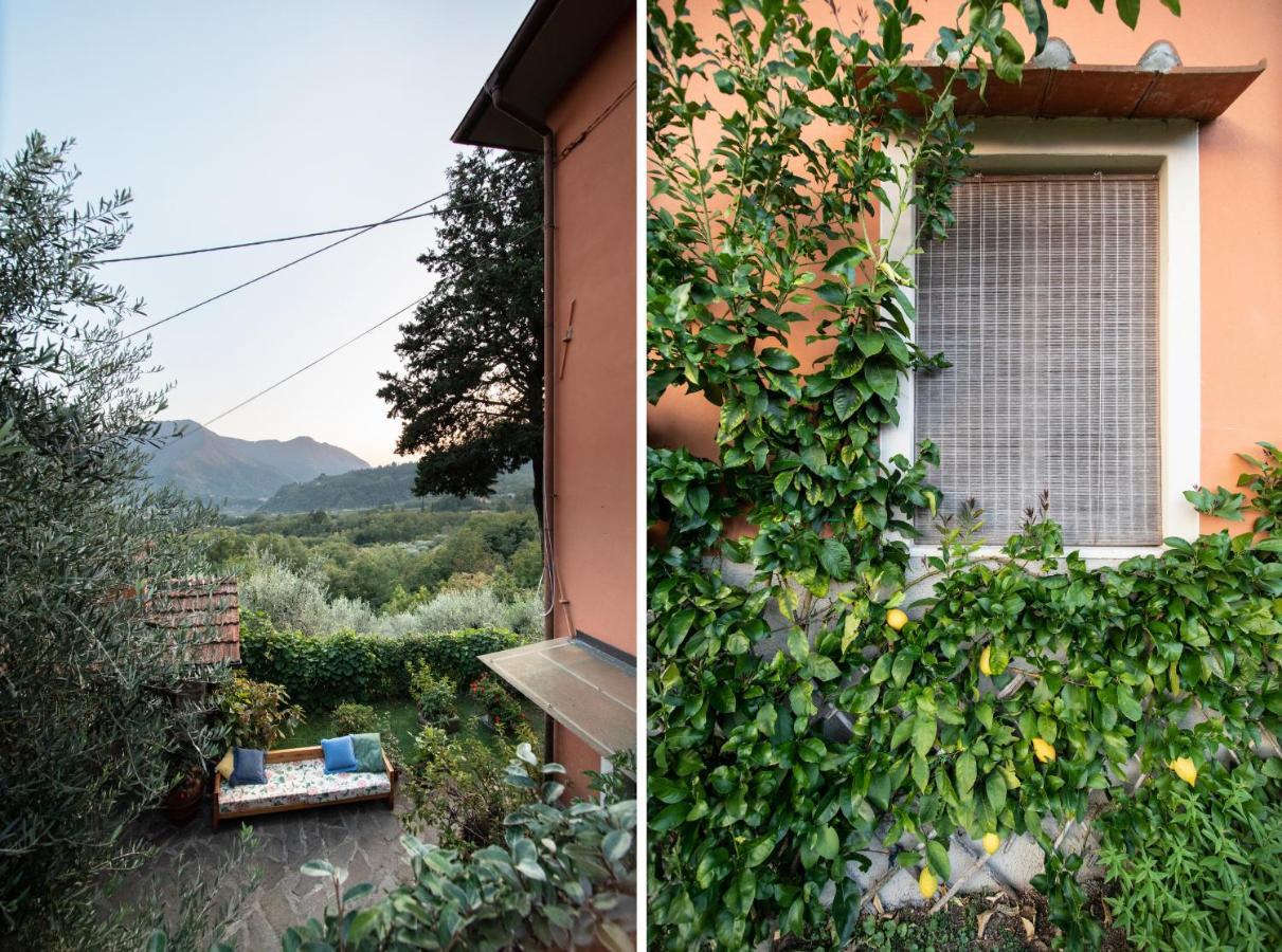 Casetta Di Butia, Ginestra Apartment With Swimming Pool บอร์โก อา มอสซาโน ภายนอก รูปภาพ