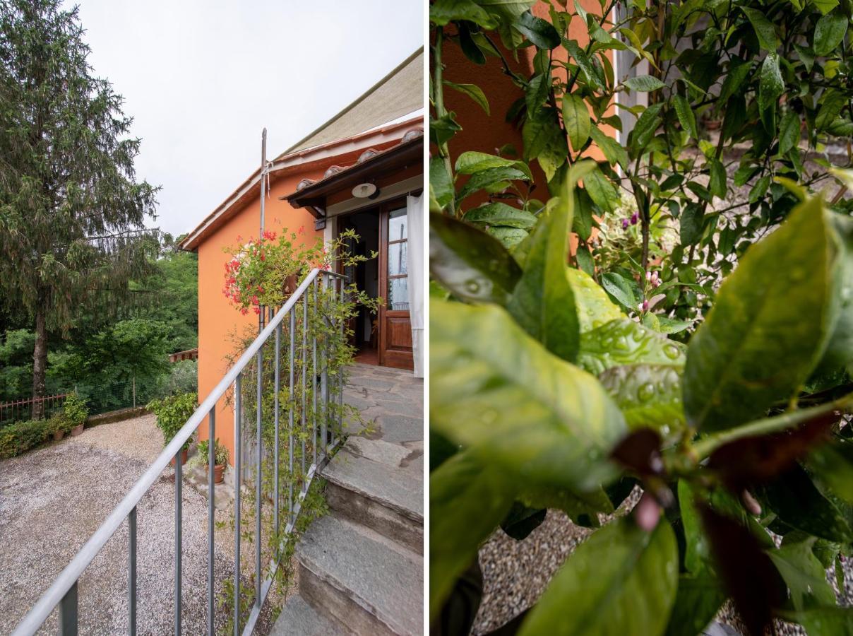 Casetta Di Butia, Ginestra Apartment With Swimming Pool บอร์โก อา มอสซาโน ภายนอก รูปภาพ